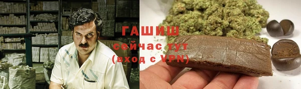 тгк Каменка