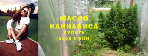 тгк Каменка