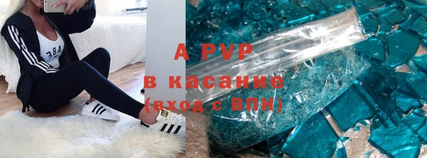 тгк Каменка