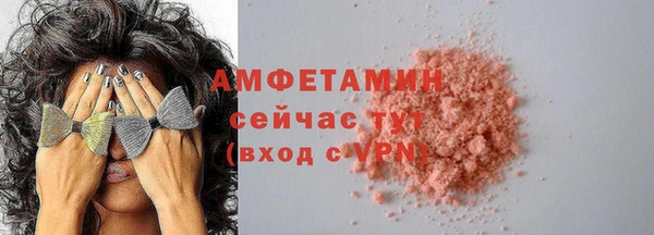 тгк Каменка