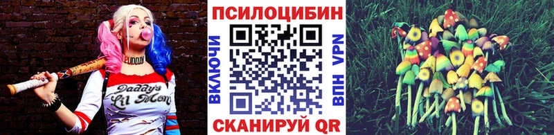 Купить  Называевск  Псилоцибиновые грибы MAGIC MUSHROOMS 